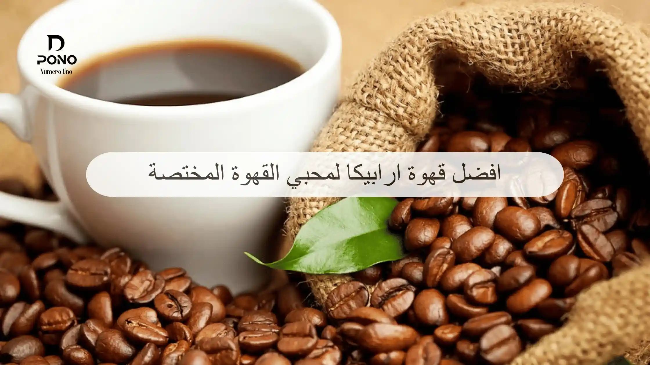 افضل قهوة ارابيكا
