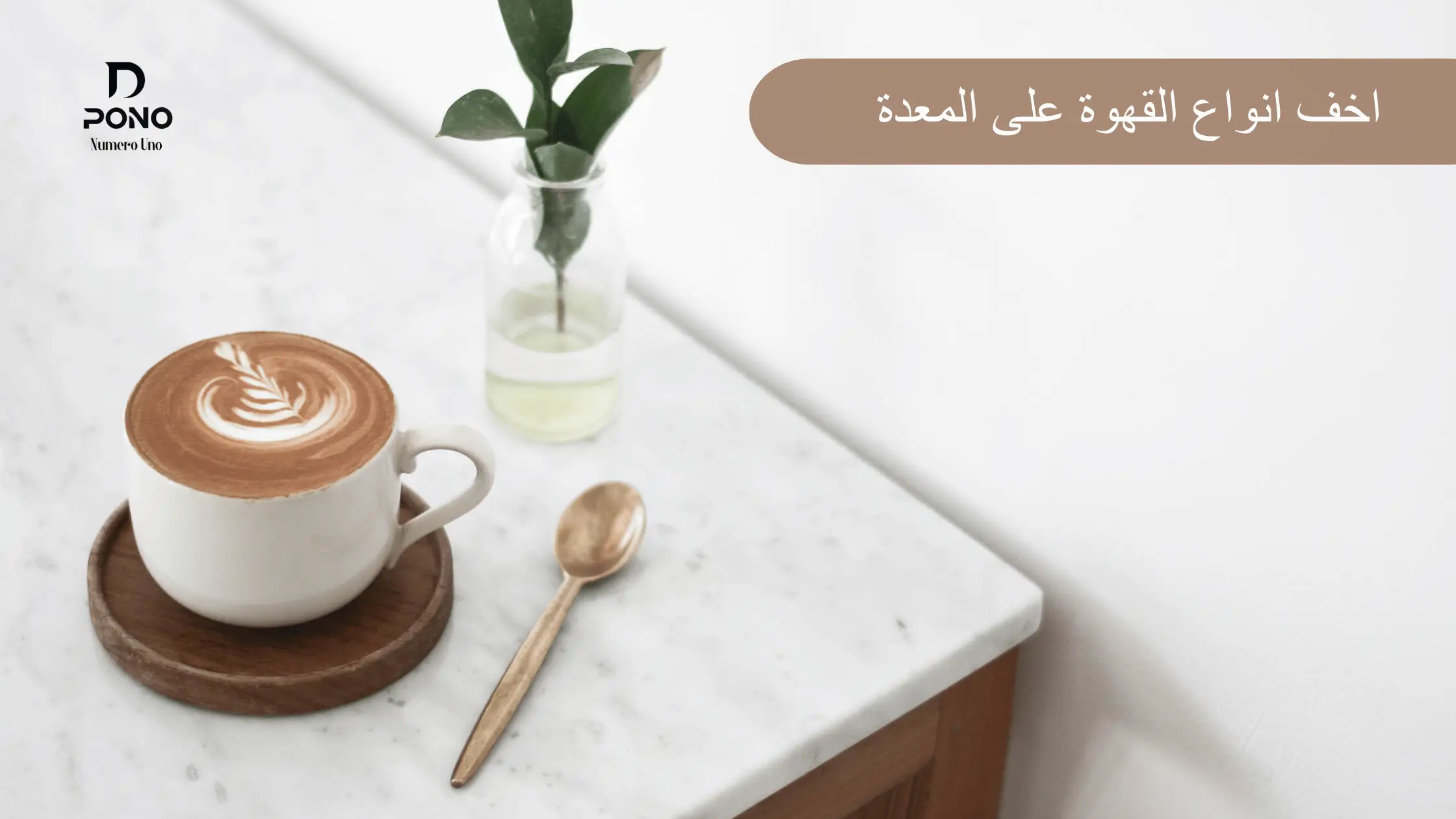 اخف انواع القهوة على المعدة