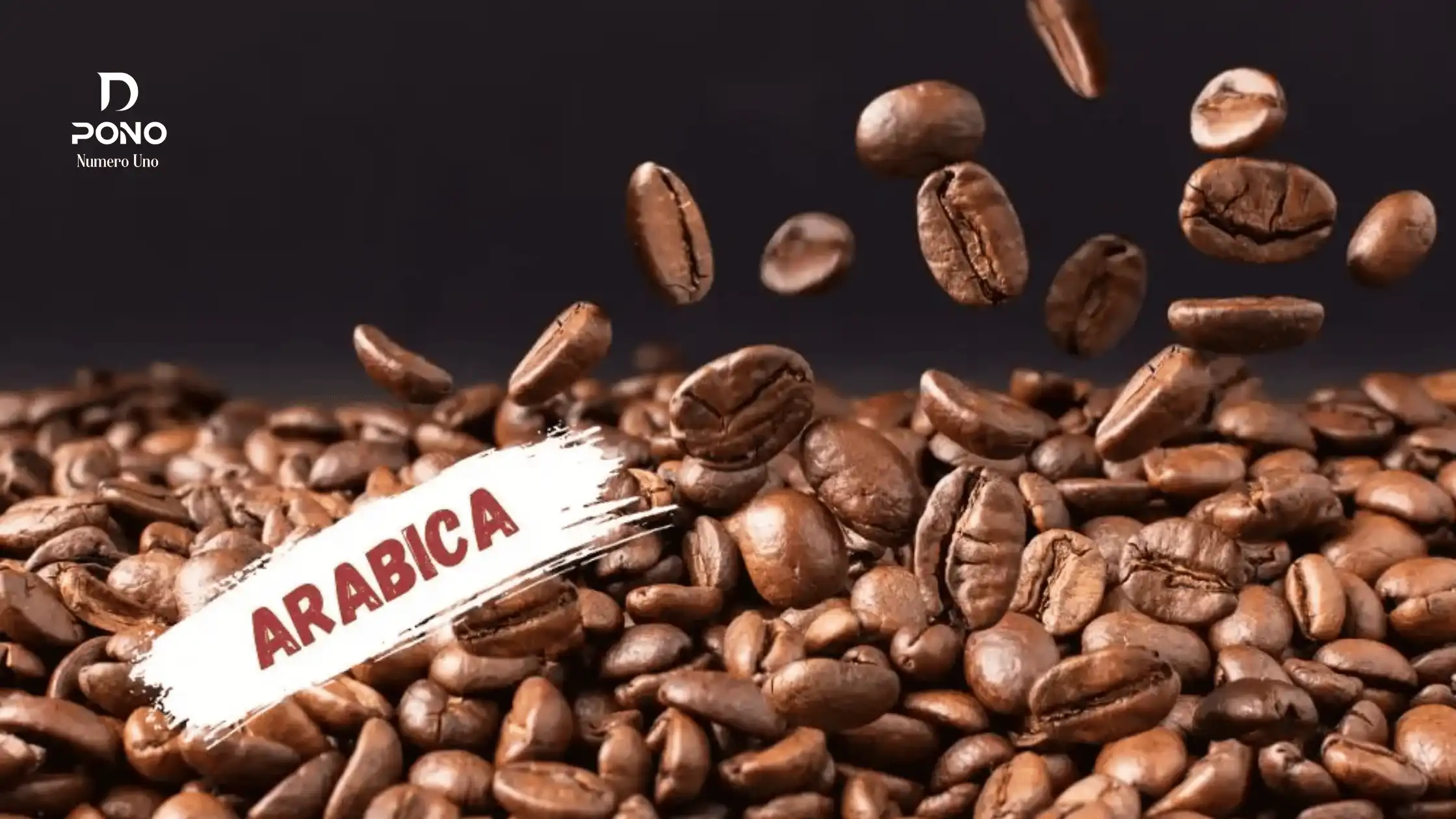 افضل قهوة ارابيكا