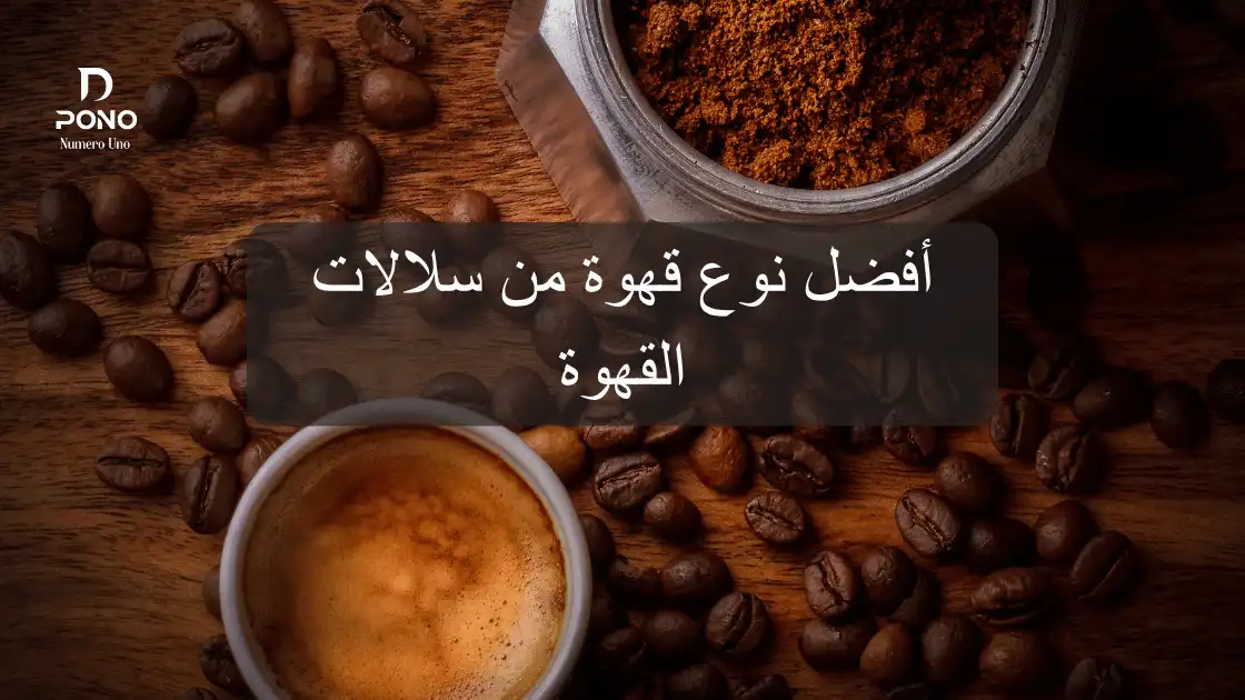 سلالات القهوة المختصة