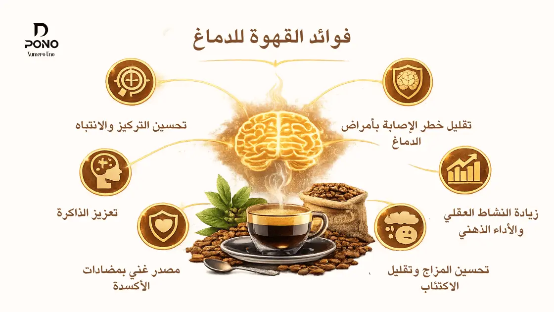 فوائد القهوة للدماغ