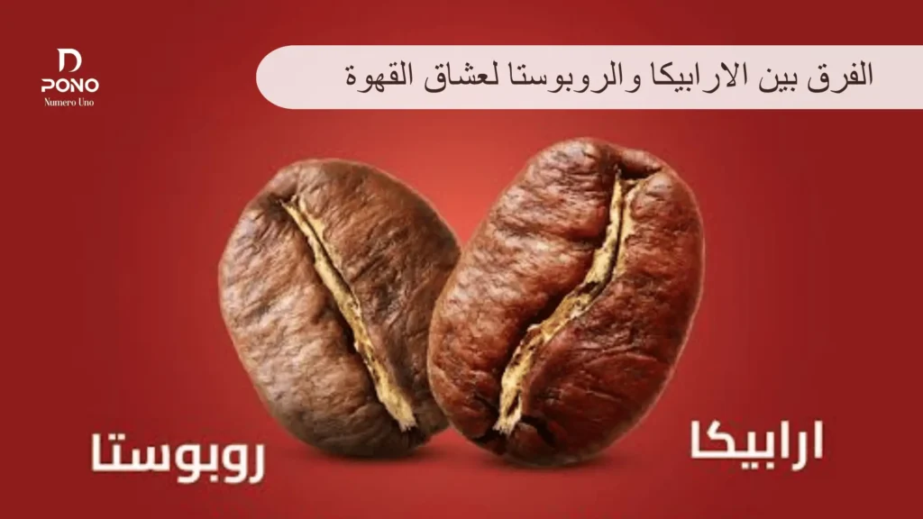 الفرق بين الارابيكا والروبوستا