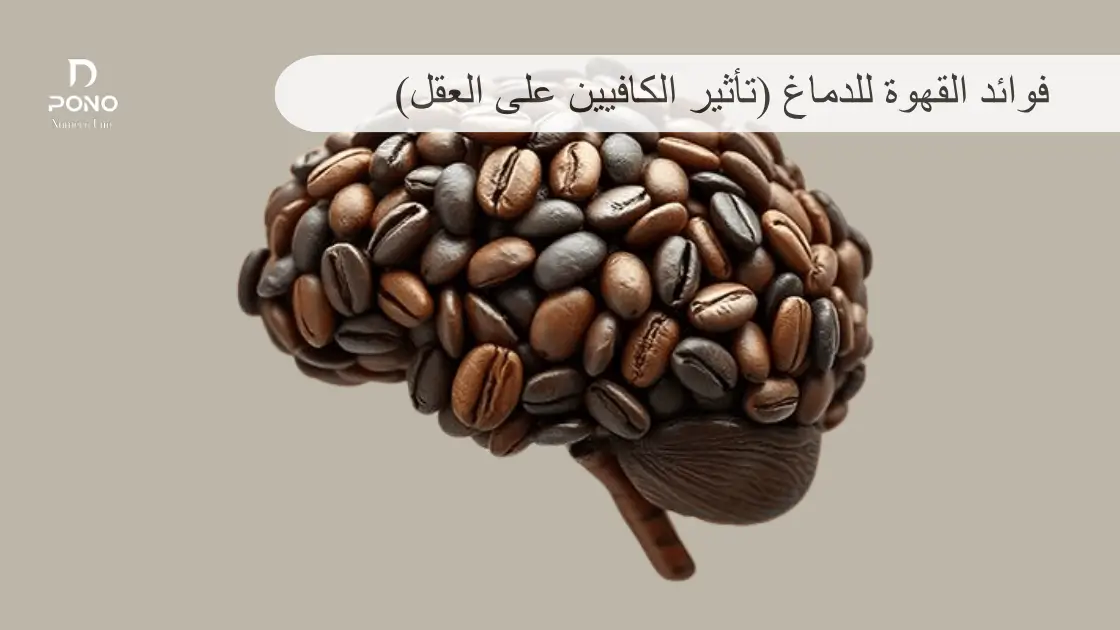 فوائد القهوة للدماغ